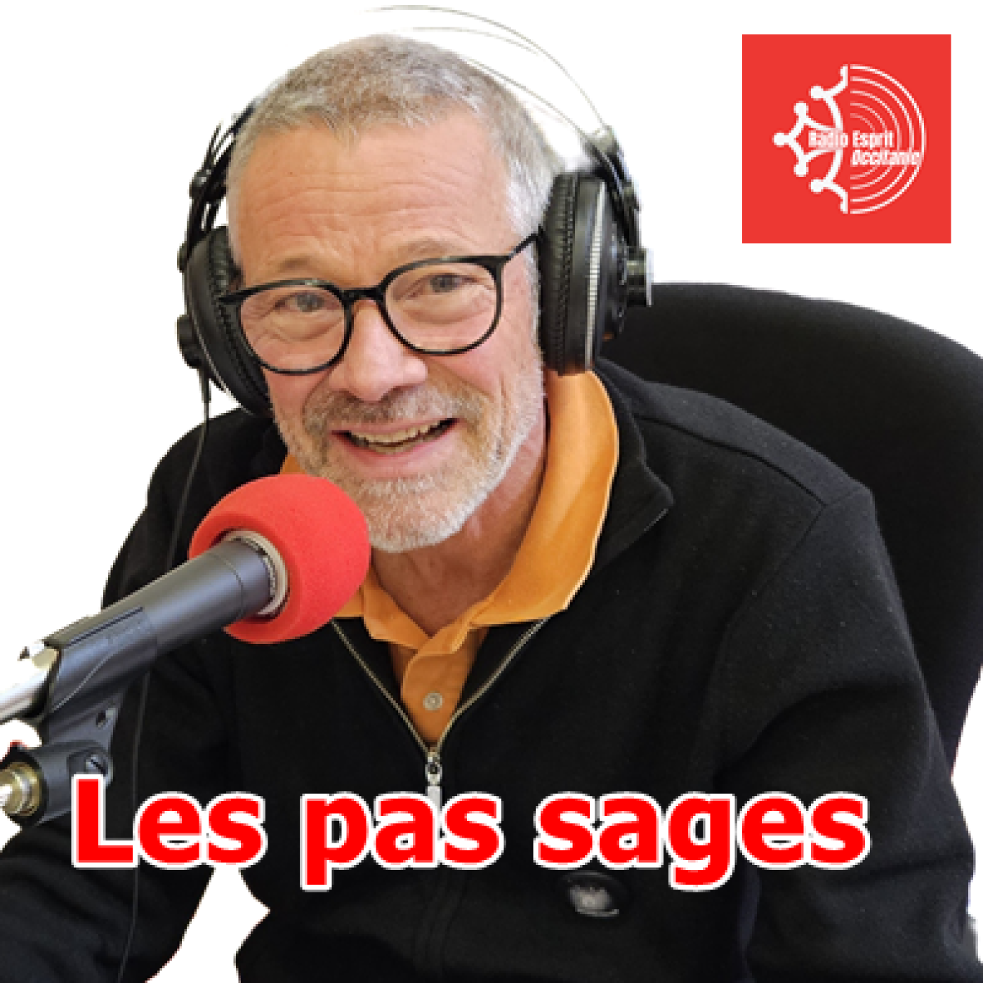 Les Pas sages - Plus jamais ça ? episode artwork